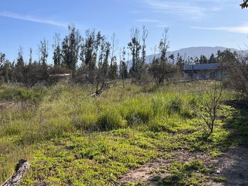 Hermosa parcela de 10.000 m/2 en Condominio La Foresta de Zapallar