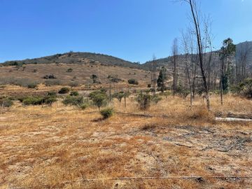 Gran Terreno en Precioso Condominio - La Foresta de Zapallar