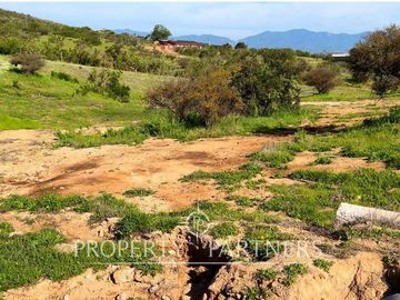 Hermosa parcela en Condominio La Foresta de Zapallar