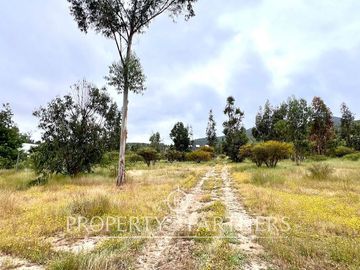 Hermosa Casa de Campo en parcela en La Foresta de Zapallar