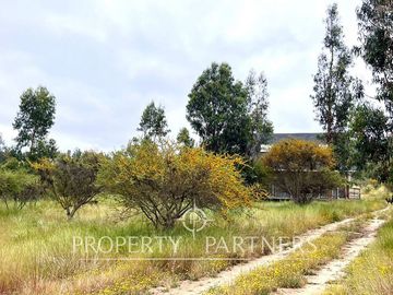 Hermosa Casa de Campo en parcela en La Foresta de Zapallar