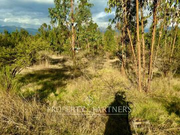 Hermosa Parcela de 10,700 m/2 en La Foresta de Zapallar