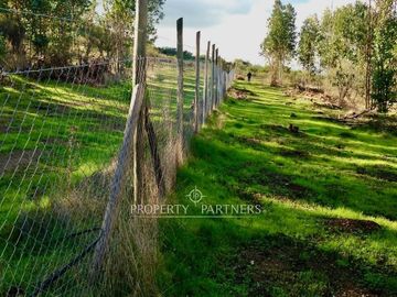 Hermosa Parcela de 10,700 m/2 en La Foresta de Zapallar