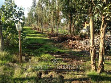 Hermosa Parcela de 10,700 m/2 en La Foresta de Zapallar