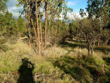 Hermosa Parcela de 10,700 m/2 en La Foresta de Zapallar