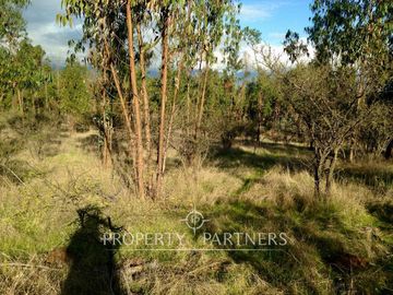 Hermosa Parcela de 10,700 m/2 en La Foresta de Zapallar