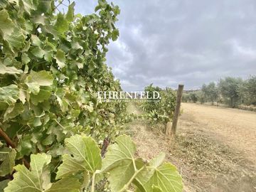 Hacienda de Casablanca, Casablanca. Propiedad Nueva.