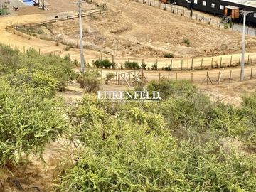 Hacienda de Casablanca, Casablanca. Propiedad Nueva.