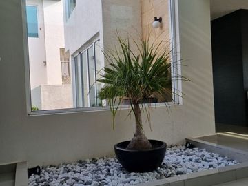 Casa en Venta  o Renta en El Mesón, Calimaya  4 recamaras 520 m2 construccion