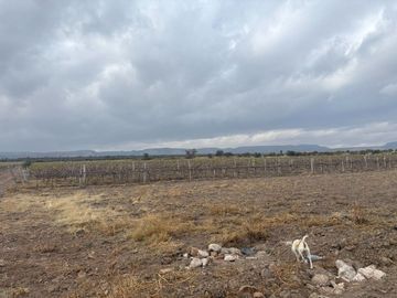 Rancho en Venta en Rancho Nuevo Zacatecas
