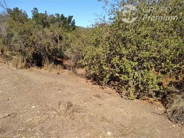Parcela en Venta en Camino Colliguay / Ruta Orozco