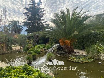 Local Comercial en Venta en Olmué