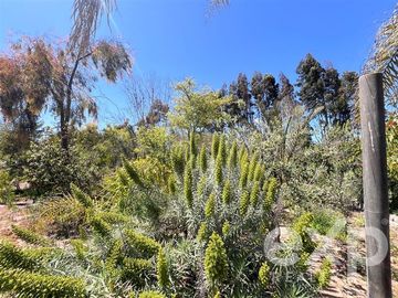 Sitio en Venta en Parcela 22, Altovalsol