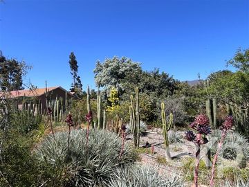 Sitio en Venta en Parcela 22, Altovalsol