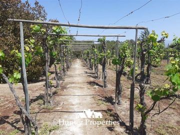 Agrícola en Venta en La Represa