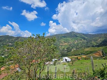 Arriendo/Venta de FINCAS en COPACABANA