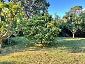 VENDO CASA QUINTA DE 250 MTS CON  5000 MTS LOTE  LA GLORIA DE LA PEREGRINA