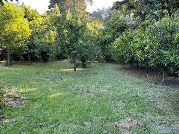 VENDO CASA QUINTA DE 250 MTS CON  5000 MTS LOTE  LA GLORIA DE LA PEREGRINA