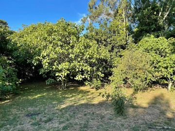 VENDO CASA QUINTA DE 250 MTS CON  5000 MTS LOTE  LA GLORIA DE LA PEREGRINA