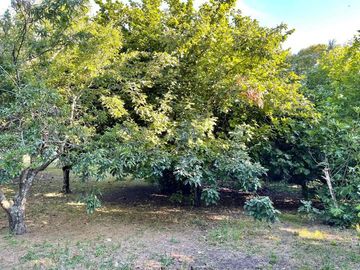 VENDO CASA QUINTA DE 250 MTS CON  5000 MTS LOTE  LA GLORIA DE LA PEREGRINA