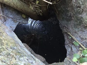 ¡Excelente terreno con Cenote en venta! Temozon, Yucatán.