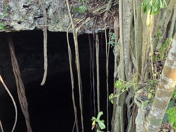 ¡Excelente terreno con Cenote en venta! Temozon, Yucatán.