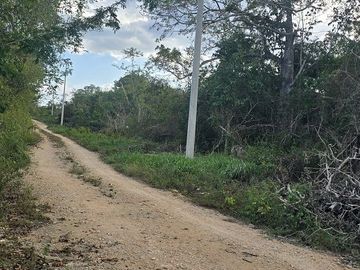 ¡Excelente terreno con Cenote en venta! Temozon, Yucatán.