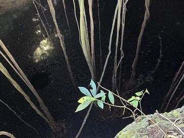 ¡Excelente terreno con Cenote en venta! Temozon, Yucatán.