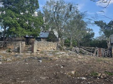 ¡Excelente terreno con Cenote en venta! Temozon, Yucatán.