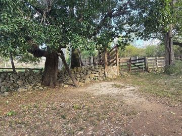 ¡Excelente terreno con Cenote en venta! Temozon, Yucatán.