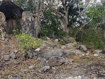 ¡Excelente terreno con Cenote en venta! Temozon, Yucatán.