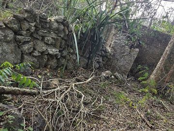 ¡Excelente terreno con Cenote en venta! Temozon, Yucatán.