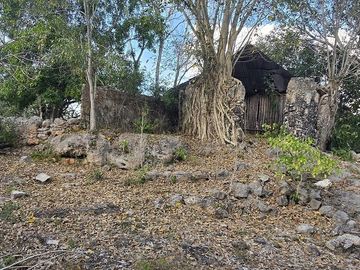 ¡Excelente terreno con Cenote en venta! Temozon, Yucatán.