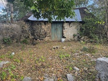 ¡Excelente terreno con Cenote en venta! Temozon, Yucatán.