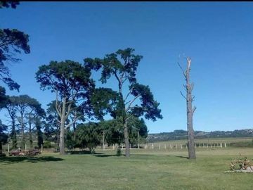 VENTA CAMPO 6,4 HECTAREAS SIERRA DE LOS PADRES CON CASA Y MOLINO