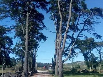 VENTA CAMPO 6,4 HECTAREAS SIERRA DE LOS PADRES CON CASA Y MOLINO