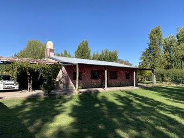 Finca de 8 Ha. de ciruelos y casa en Cuadro Benegas