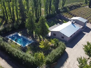 Finca de 8 Ha. de ciruelos y casa en Cuadro Benegas