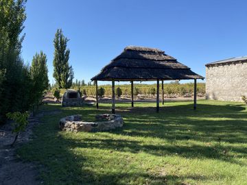 Finca de 8 Ha. de ciruelos y casa en Cuadro Benegas