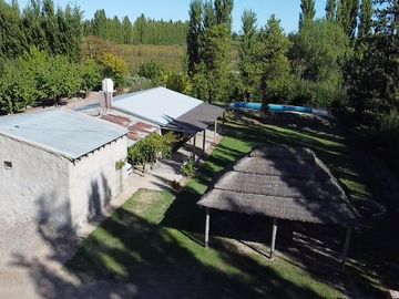 Finca de 8 Ha. de ciruelos y casa en Cuadro Benegas