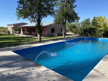 Finca de 8 Ha. de ciruelos y casa en Cuadro Benegas
