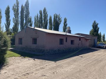 Finca de 8 Ha. de ciruelos y casa en Cuadro Benegas