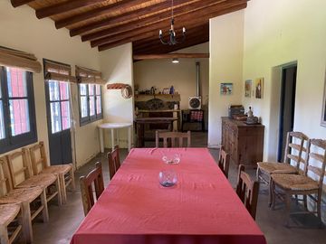 Finca de 8 Ha. de ciruelos y casa en Cuadro Benegas