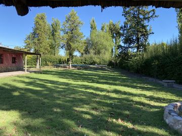 Finca de 8 Ha. de ciruelos y casa en Cuadro Benegas