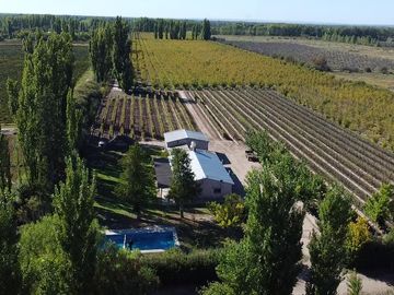 Finca de 8 Ha. de ciruelos y casa en Cuadro Benegas