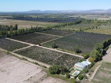 Finca de 10 Ha. con hermosa casa y galpón en Cuadro Benegas