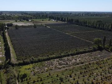 Finca de 10 Ha. con hermosa casa y galpón en Cuadro Benegas