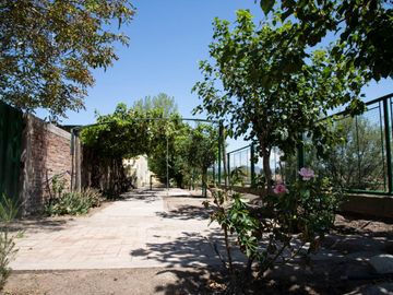 Finca de 10 Ha. con hermosa casa y galpón en Cuadro Benegas
