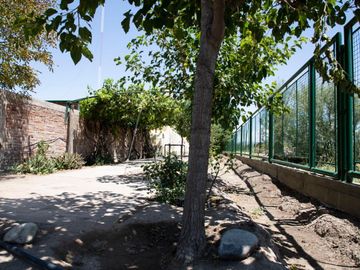 Finca de 10 Ha. con hermosa casa y galpón en Cuadro Benegas