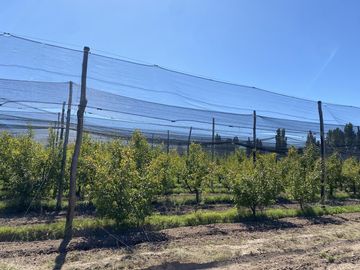 Finca de 10 Ha. con hermosa casa y galpón en Cuadro Benegas